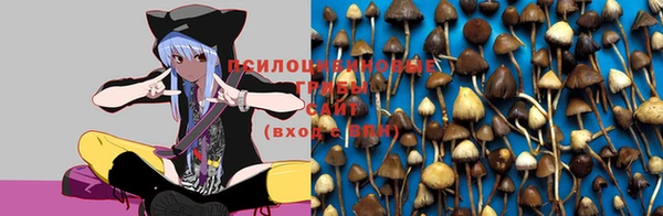 дмт Алексеевка