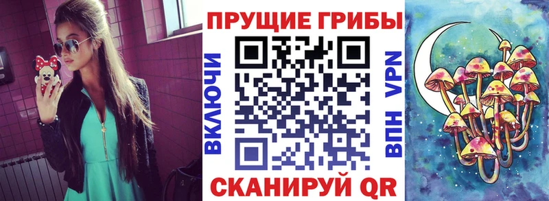 гидра ССЫЛКА  Кыштым  Псилоцибиновые грибы ЛСД 