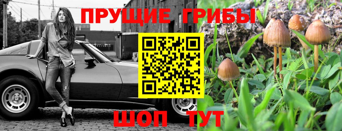 Галлюциногенные грибы MAGIC MUSHROOMS Кыштым