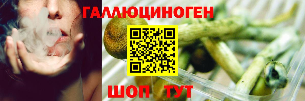 Галлюциногенные грибы MAGIC MUSHROOMS  Вход с VPN  Кыштым 